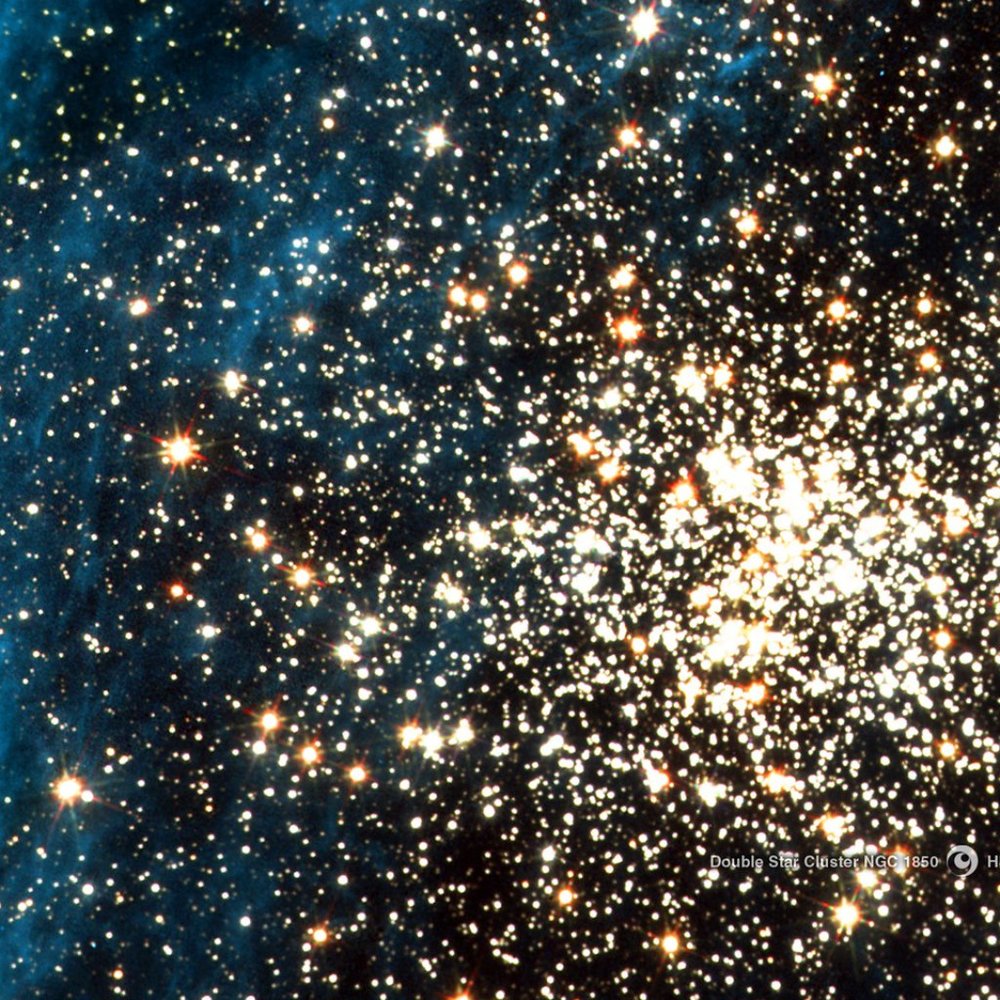 Meet your Posher, Valerie